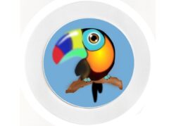 Cool Toucan - Car Tax Disc Permit Window Holder - Reusable