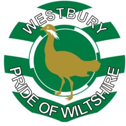 Westbury - Pride of Wiltshire - TWO PACK - Car Bumper Laptop Window Decal County Flag Sticker