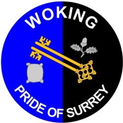 Woking - Pride of Surrey - TWO PACK - Car Bumper Laptop Window Decal County Flag Sticker