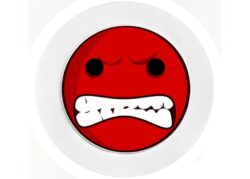 Angry Red Face - Car Tax Disc Permit Window Holder - Reusable