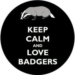 Keep Calm and Love Badgers - 59mm Birthday Pin Badge Gift Present