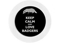 Keep Calm and Love Badgers - Car Tax Disc Permit Window Holder - Reusable