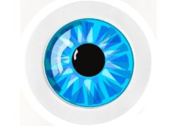 Blue Eyes - Car Tax Disc Permit Window Holder - Reusable