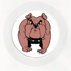 Bulldog - Car Tax Disc Permit Window Holder - Reusable