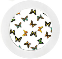 Lots of Butterflies - Car Tax Disc Permit Window Holder - Reusable