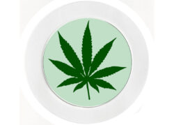 Cannabis Leaf - Car Tax Disc Permit Window Holder - Reusable