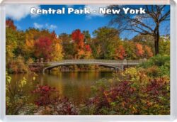 Central Park - New York - USA - Jumbo Fridge Magnet Souvenir Gift Present 20US2