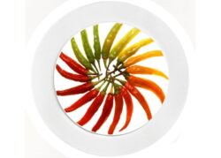 Chillies - Car Tax Disc Permit Window Holder - Reusable