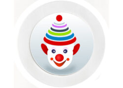 Clown Face - Car Tax Disc Permit Window Holder - Reusable