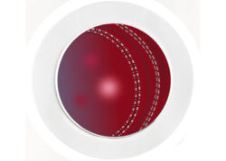 Cricket Ball - Car Tax Disc Permit Window Holder - Reusable