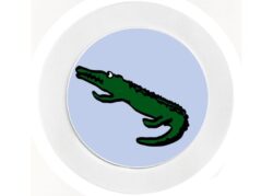 Crocodiles - Car Tax Disc Permit Window Holder - Reusable