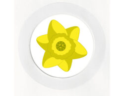 Daffodil - Car Tax Disc Permit Window Holder - Reusable