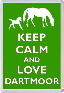 Keep Calm and Love Dartmoor - Jumbo Fridge Magnet Souvenir Gift Present
