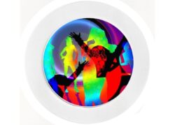 Disco - Car Tax Disc Permit Window Holder - Reusable
