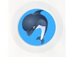 Dolphin - Car Tax Disc Permit Window Holder - Reusable