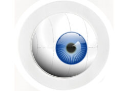 Eye Ball - Car Tax Disc Permit Window Holder - Reusable