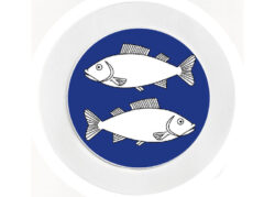 Fun Fish - Car Tax Disc Permit Window Holder - Reusable
