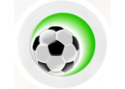 Football - Car Tax Disc Permit Window Holder - Reusable