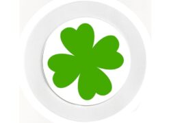 Four Leaf Clover - Car Tax Disc Permit Window Holder - Reusable