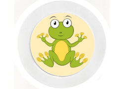 Mad Eye Frog - Car Tax Disc Permit Window Holder - Reusable