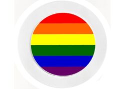 Gay/Lesbian/LGTB Rainbow Pride Flag - Car Tax Disc Permit Window Holder - Reusable