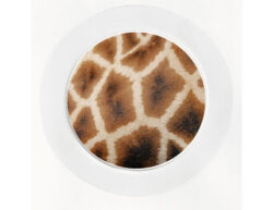 Giraffe Print - Car Tax Disc Permit Window Holder - Reusable
