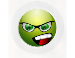 Green Face - Car Tax Disc Permit Window Holder - Reusable