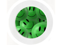 Green Smiley Face - Car Tax Disc Permit Window Holder - Reusable