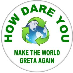 How Dare You - 59mm Badge/Badges Gift Present Statement Make the world Greta again