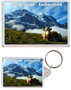 Grindelwald - Switzerland - Jumbo Fridge Magnet & Double Sided Large Keyring Key Fob Chain Ring Gift Present Souvenir