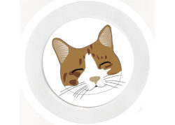 Happy Cat - Car Tax Disc Permit Window Holder - Reusable
