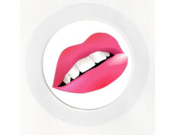 Hot Lips - Car Tax Disc Permit Window Holder - Reusable