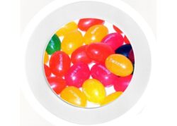 Jellybeans - Car Tax Disc Permit Window Holder - Reusable