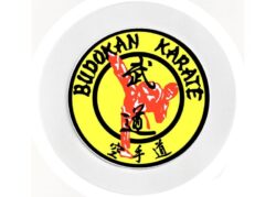 Karate - Car Tax Disc Permit Window Holder - Reusable