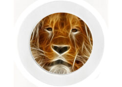 Lion - Car Tax Disc Permit Window Holder - Reusable