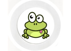 Mad Eye Frog - Car Tax Disc Permit Window Holder - Reusable