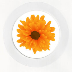 Marigold - Car Tax Disc Permit Window Holder - Reusable