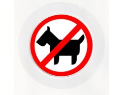 No Dogs - Car Tax Disc Permit Window Holder - Reusable