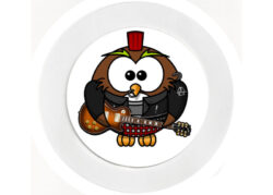 Owl Rockstar - Car Tax Disc Permit Window Holder - Reusable