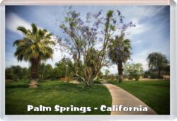 Palm Springs - California - USA - Jumbo Fridge Magnet Souvenir Gift Present 20US4