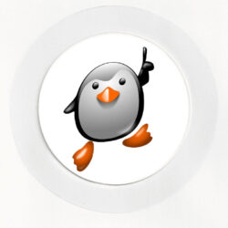 High Fives Penguin - Car Tax Disc Permit Window Holder - Reusable