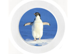 Cute Penguin - Car Tax Disc Permit Window Holder - Reusable