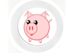 Happy Pig - Car Tax Disc Permit Window Holder - Reusable