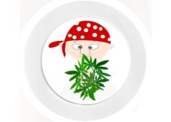 Pirate Cannabis Boy - Car Tax Disc Permit Window Holder - Reusable