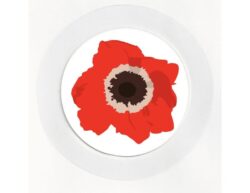 Poppy - Car Tax Disc Permit Window Holder - Reusable