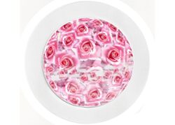 Pretty Pink Roses - Car Tax Disc Permit Window Holder - Reusable