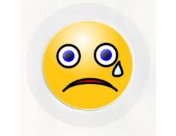 Sad Face - Car Tax Disc Permit Window Holder - Reusable
