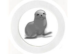 Cute Seal - Car Tax Disc Permit Window Holder - Reusable