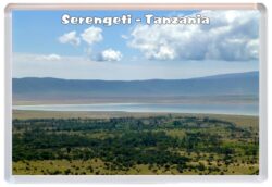 Serengeti - Tanzania - Africa - Jumbo Fridge Magnet Souvenir Gift 20M1