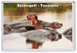 Serengeti - Tanzania - Africa - Jumbo Fridge Magnet Souvenir Gift 20M2
